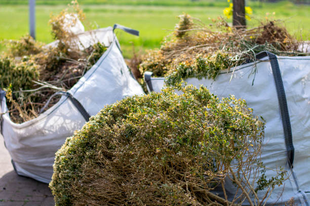 Best Commercial Junk Removal  in Jonesborough, TN