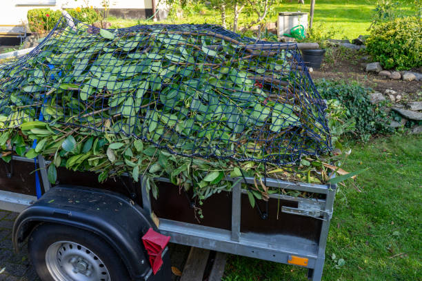 Best Hoarding Cleanup  in Jonesborough, TN